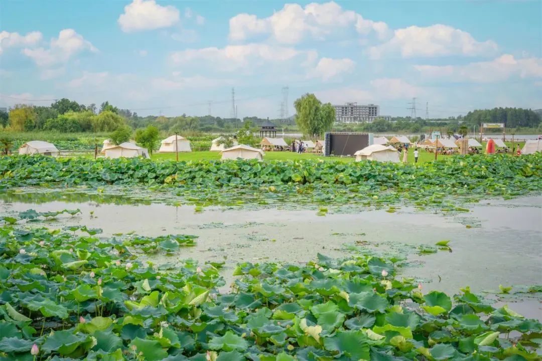 霍比特小镇